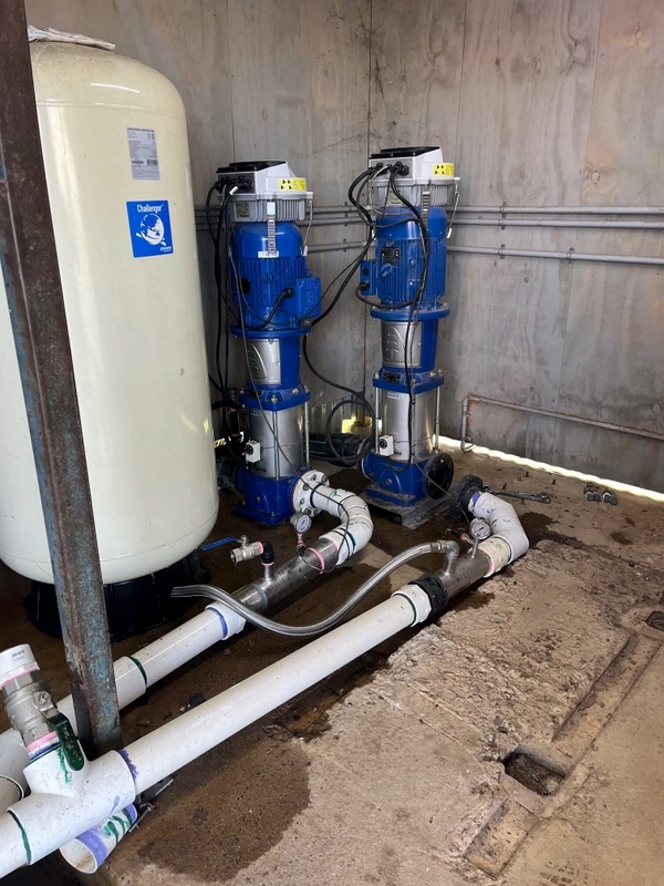 Brisbane Water Bores  0216