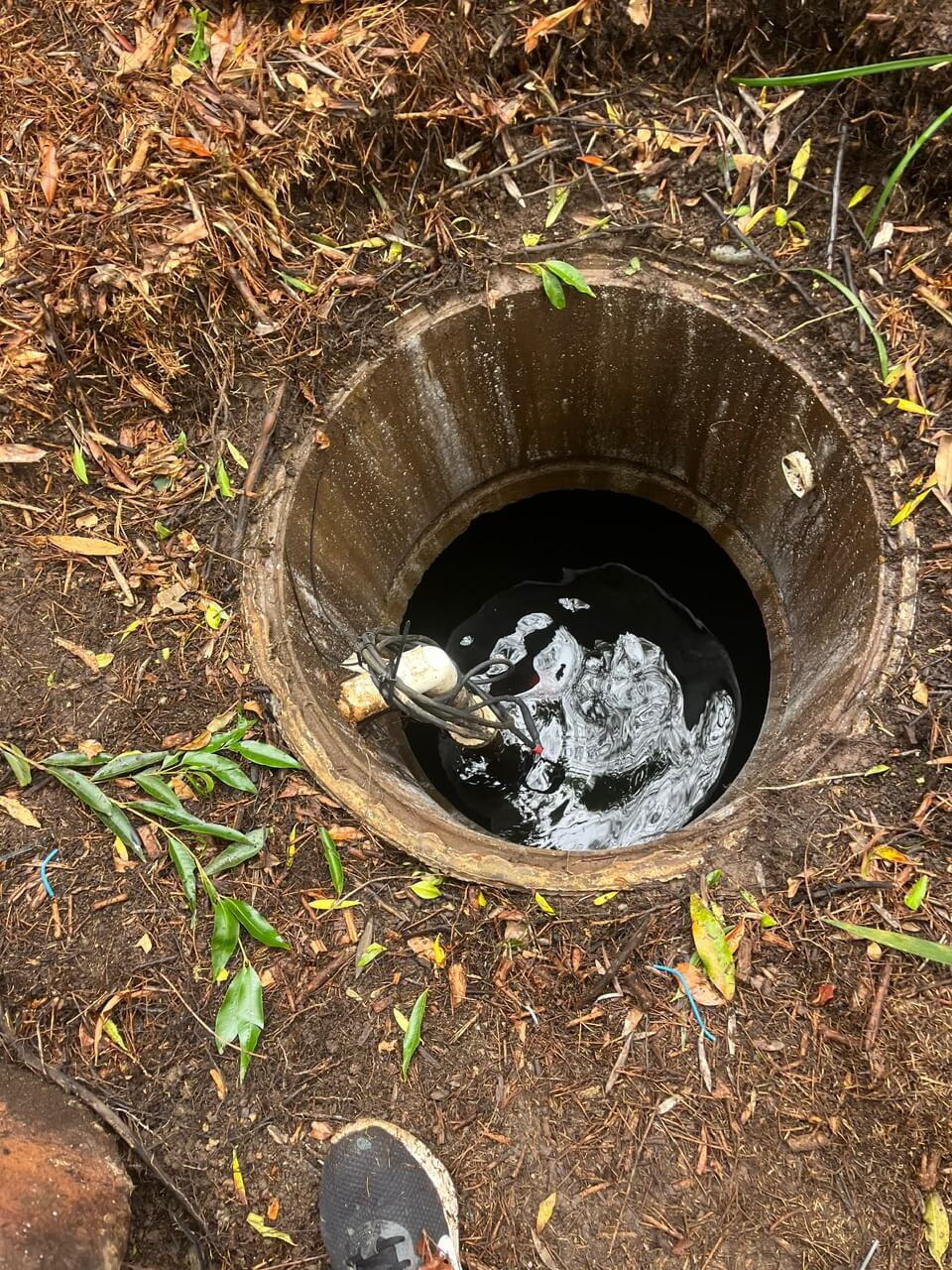 Brisbane Water Bores  08 